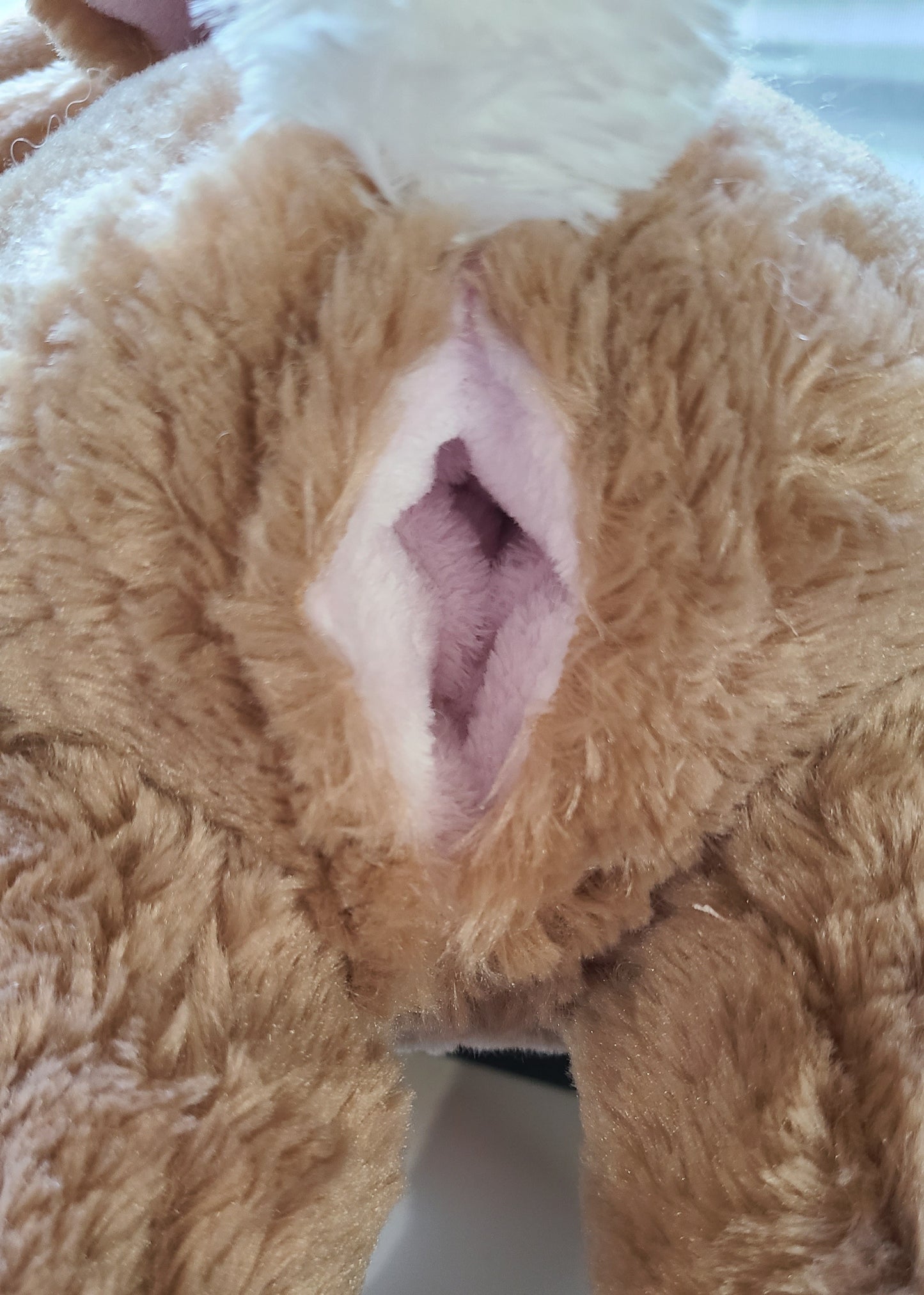 Comfy Bunny Buddy - 17in