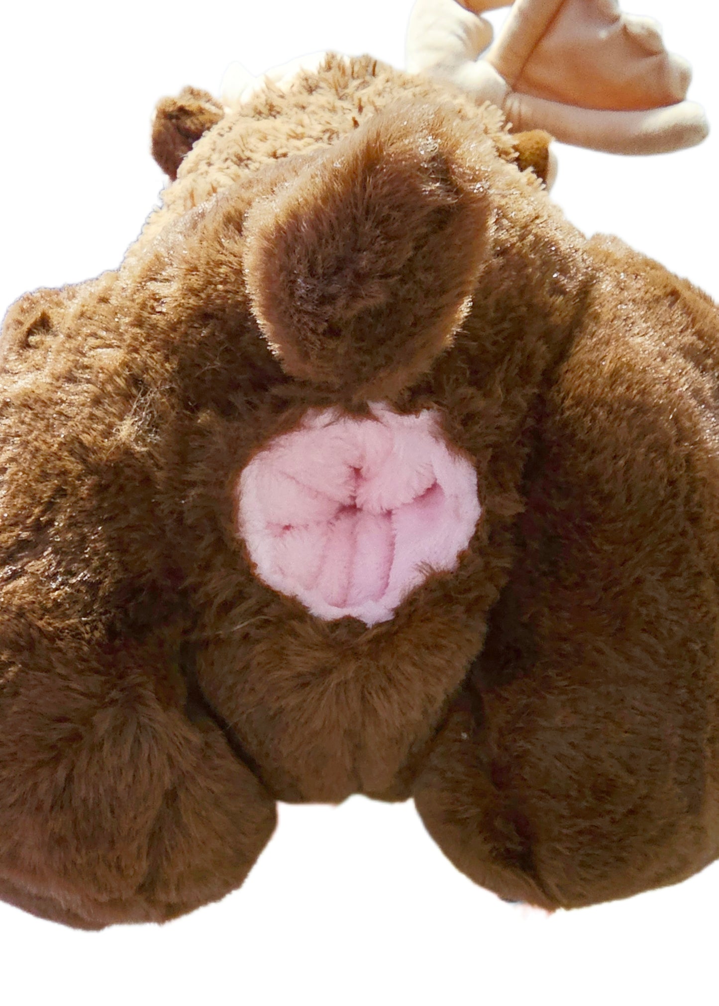 Moose - 28in (TIGHT FIT)