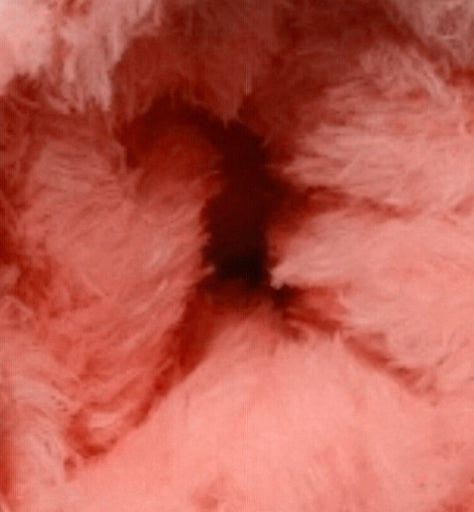 Connection Buddies - 20in