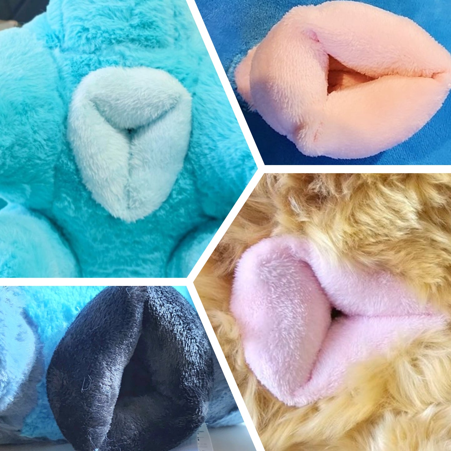 Mystery Adopt - Medium